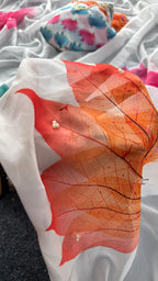 Fancy saree