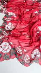 Tabby saree with complete hand work